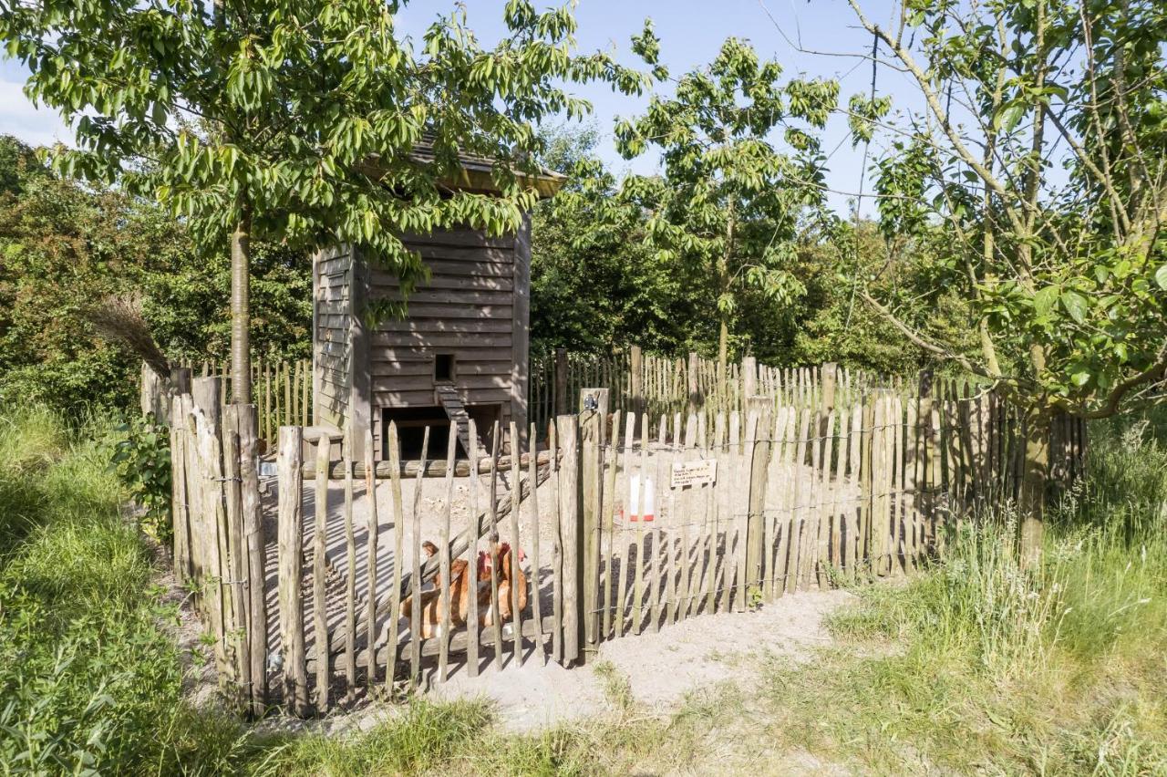 Boksheidebuiten Eersel Extérieur photo